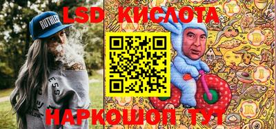 прущие крисы Кингисепп