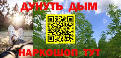 прущие крисы Кингисепп