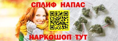 прущие крисы Кингисепп