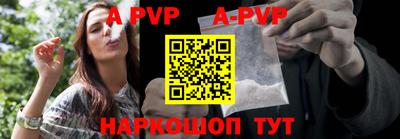 прущие крисы Кингисепп