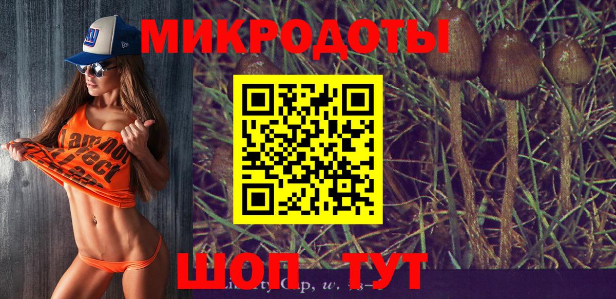 Псилоцибиновые грибы Psilocybine cubensis Ковров